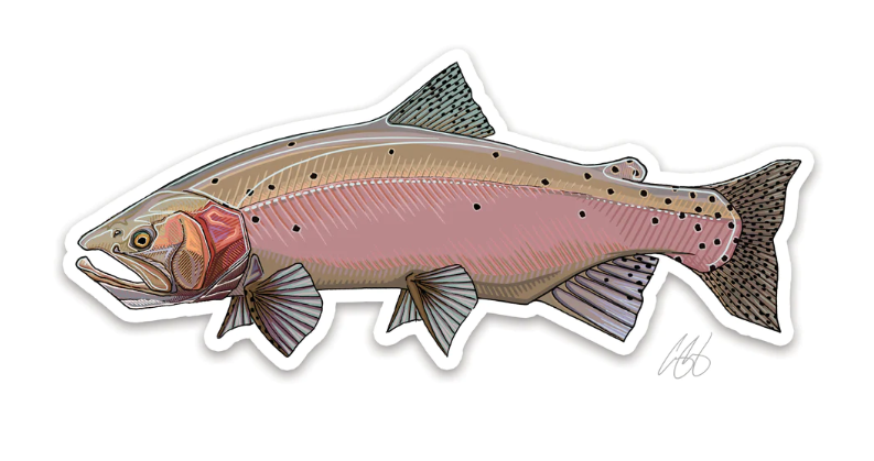 Fly Fishing Sticker Decal 5.5 Trout USA Flag Simms Sage Fly Fishing Hatch  Ross