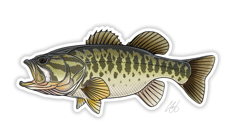  Largemouth Bass Fishing Fish Vinyl Sticker - Select