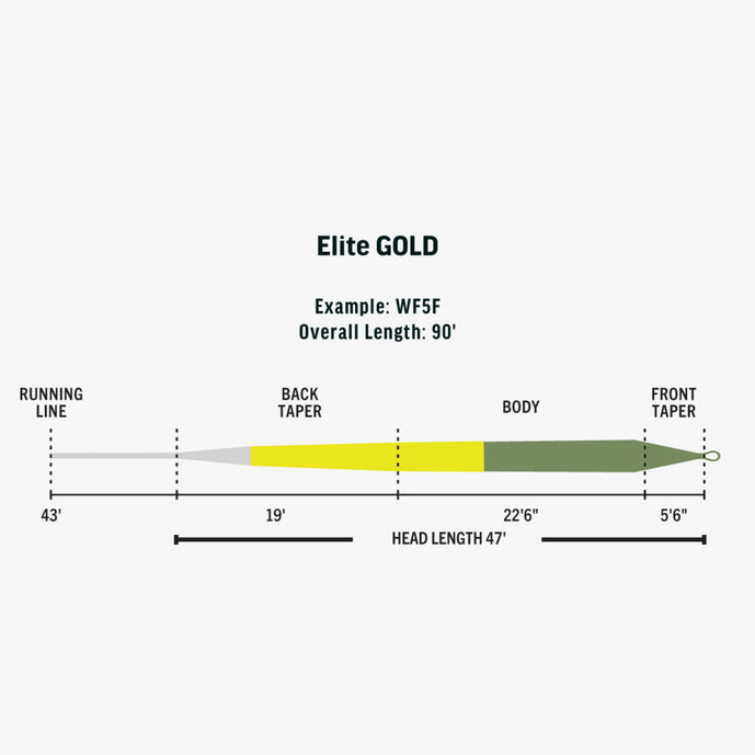 RIO Elite Gold // Weight Forward Floating Fly Line