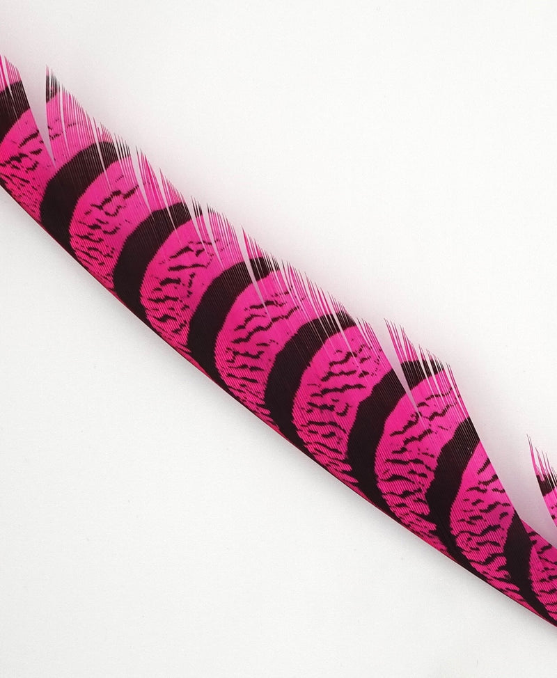 Spent Fly Fishing Lady Amherst feather halves for fly tying