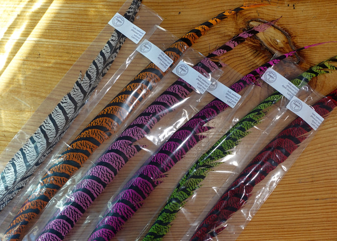 Spent Fly Fishing Lady Amherst full plumes fly tying feathers.