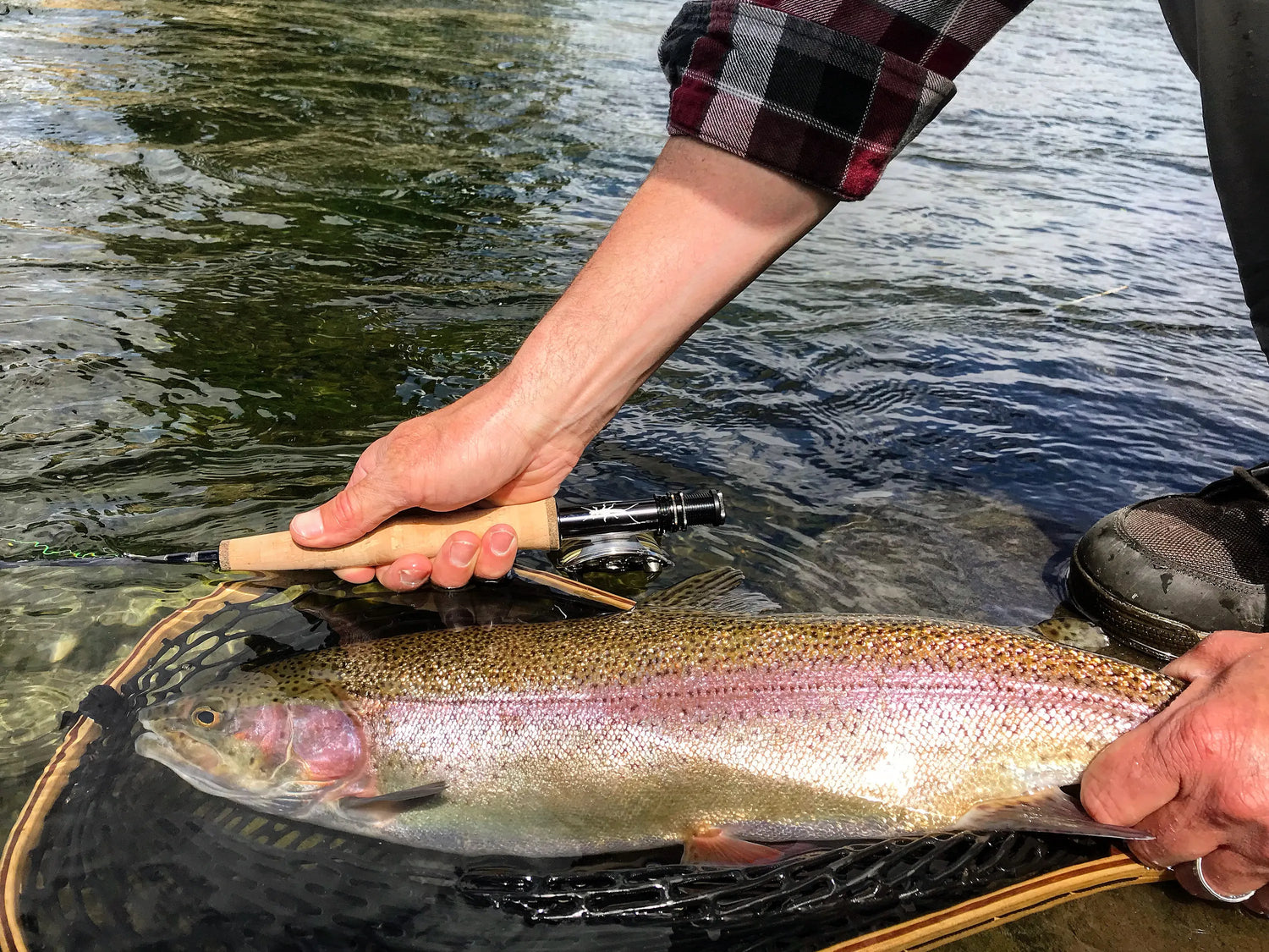 Big Trout in Clear Water