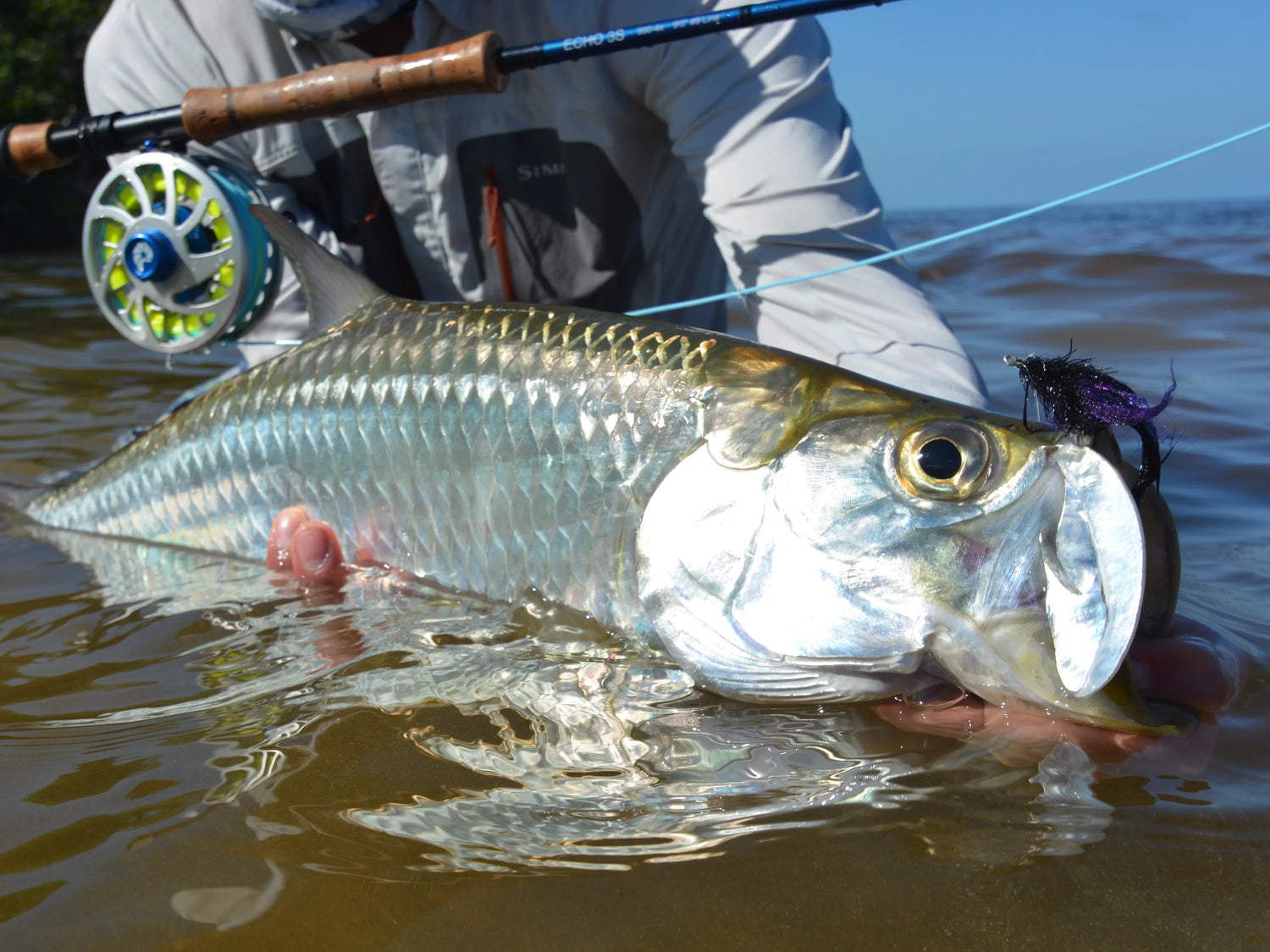 Ascension Bay Fly Fishing Trips — Red's Fly Shop