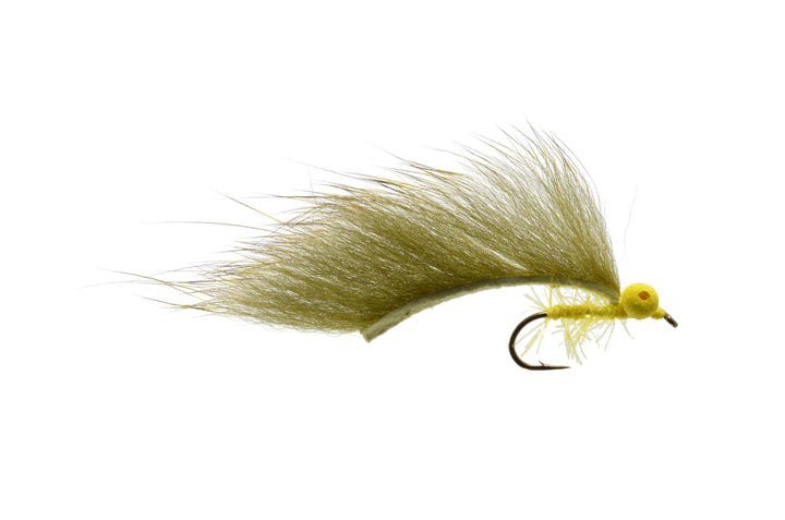 Gaviglio's Boobie Leech By Rainy's