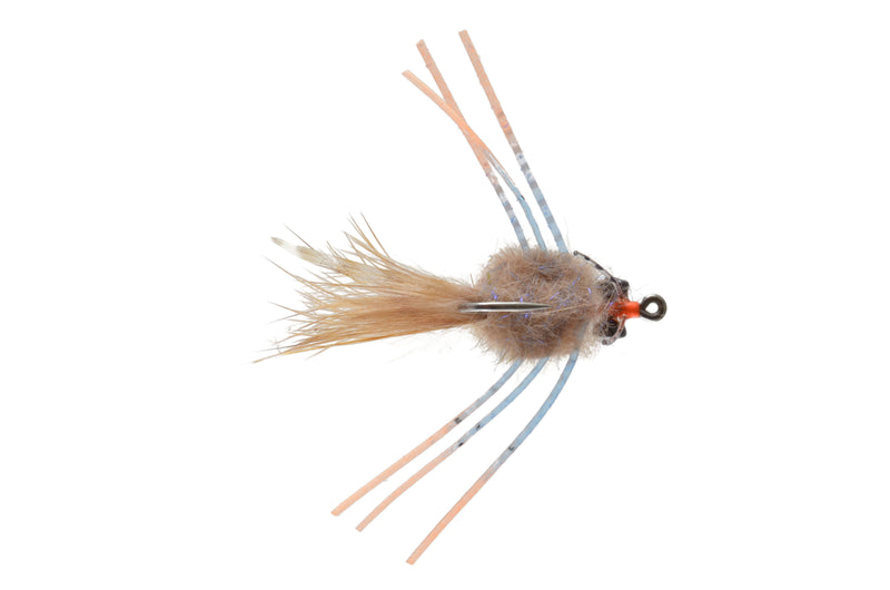 Casa Blanca Raghead Crab - Blue