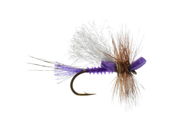 Mason's Mighty Morsel Purple By Rainy's