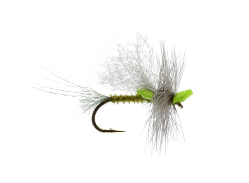 Mason's Mighty Morsel BWO By Rainy's