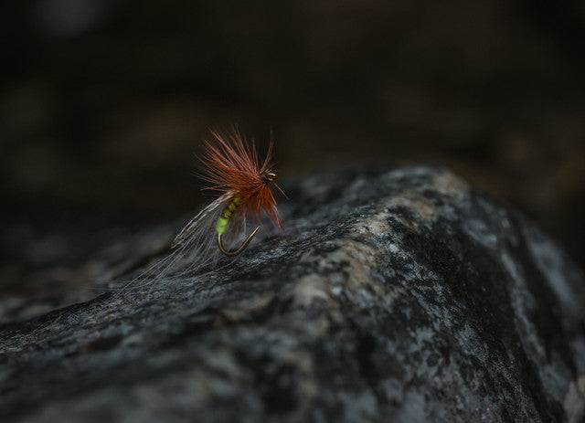 Tiemco Curved Nymph Hooks - Shrimp/Caddis Pupa- TMC2487 (25PK)