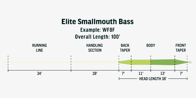 Rio Elite Smallmouth Bass Fly Line - WF6F