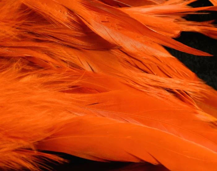 Crayfish orange UV Fish Hunter Select Schlappen – warm-toned UV feathers for crayfish imitations, riverine streamers, and steelhead flies.”