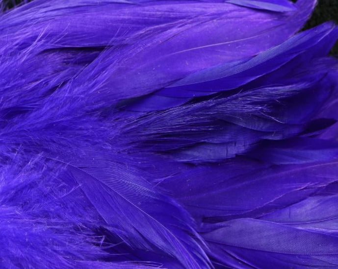 Fluorescent steelhead purple UV Fish Hunter Select Schlappen – glowing violet feathers ideal for steelhead, salmon, and moody spey flies.