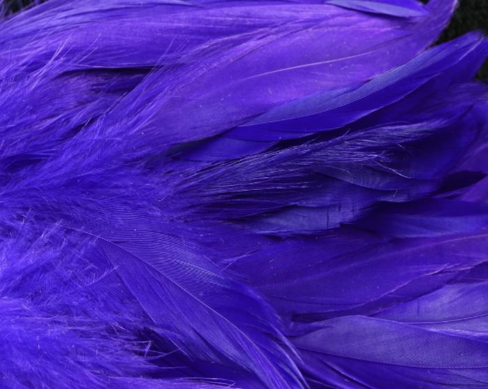 Fluorescent steelhead purple UV Fish Hunter Select Schlappen – glowing violet feathers ideal for steelhead, salmon, and moody spey flies.