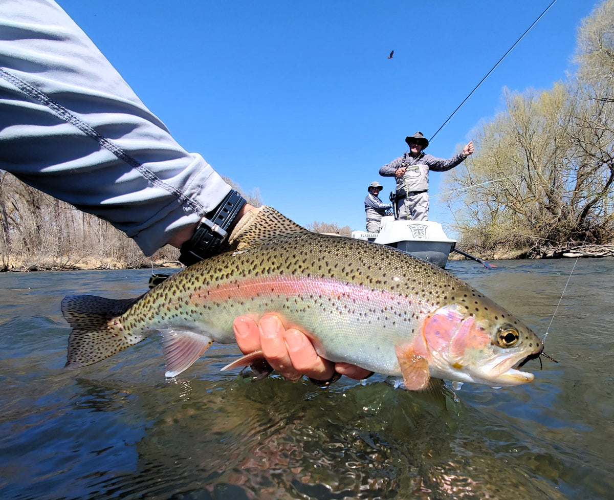 Yakima River Guided Fly Fishing Trip