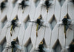 Tiemco Dry Fly Hooks - Straight Eye - TMC101 (25PK)