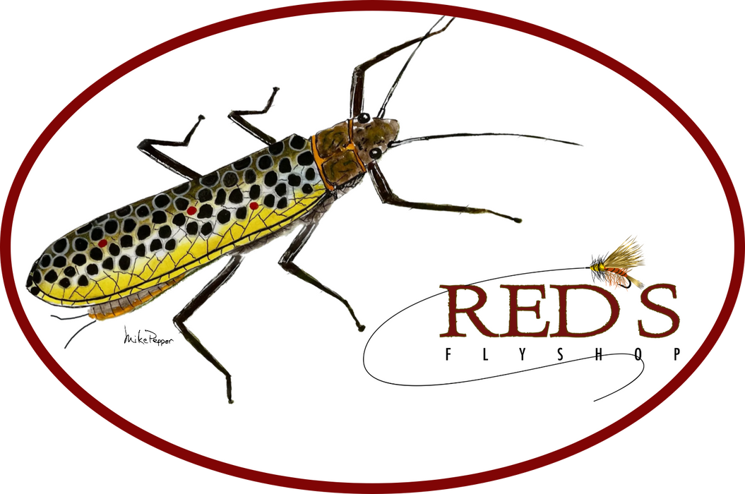 Brown Trout Stonefly // 5" Red's Fly Shop Sticker