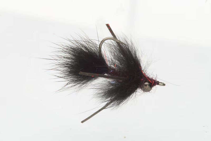 Moore's Mudskipper By Fulling Mill