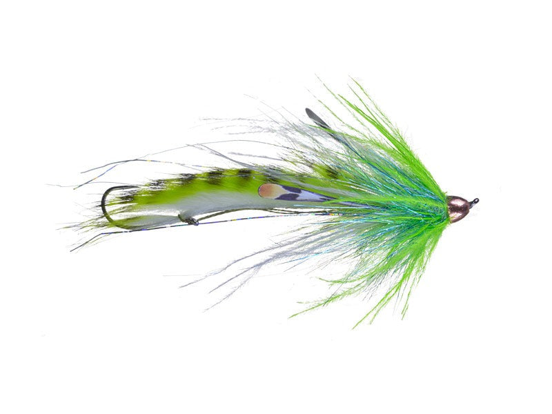 dirty hoh fly 