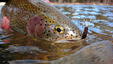 CUSTOM FLY SELECTIONS // THE DEADLY DOZEN