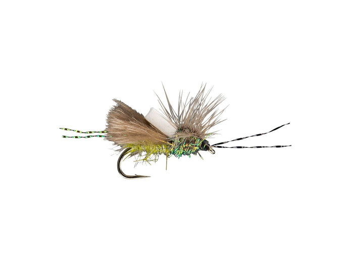 crime scene caddis