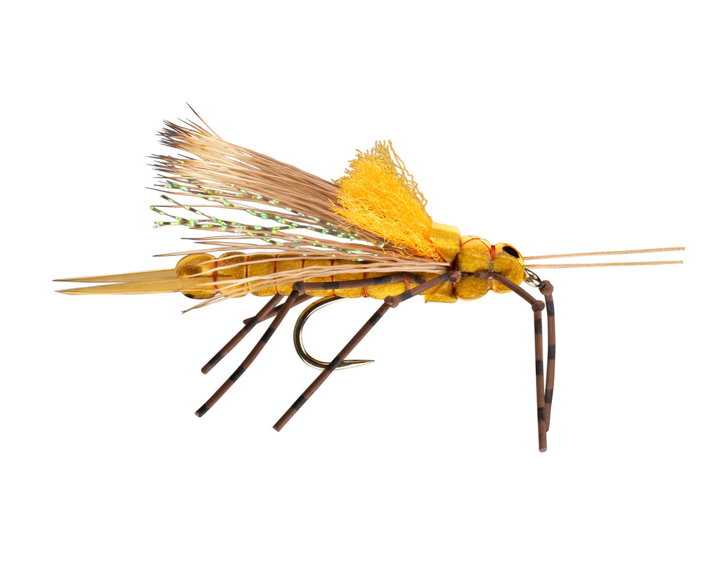 RIO's Emma's Stonefly // Salmon Fly Dry Fly #6 — Red's Fly Shop