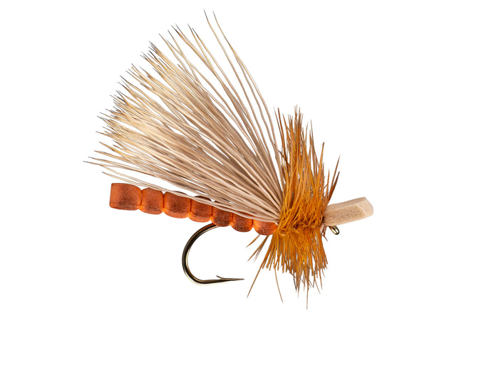 morrish october caddis adult dry fly