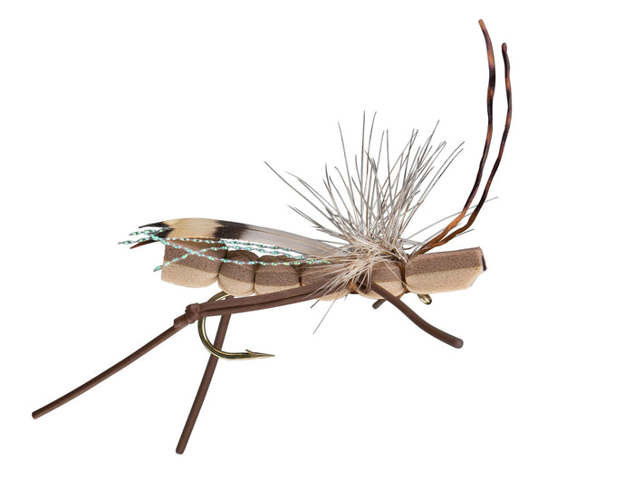 stacker hopper and summer stonefly