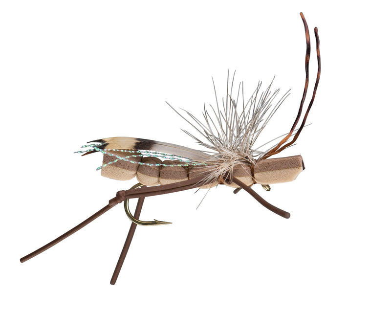 stacker hopper and summer stonefly