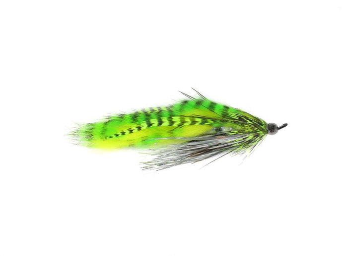 cyclops leech tungsten steelhead fly 