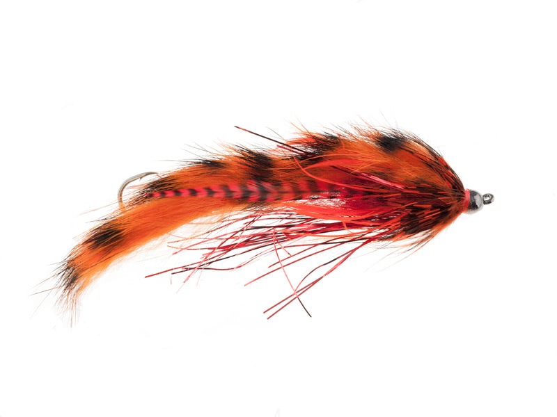 cyclops leech tungsten steelhead fly 