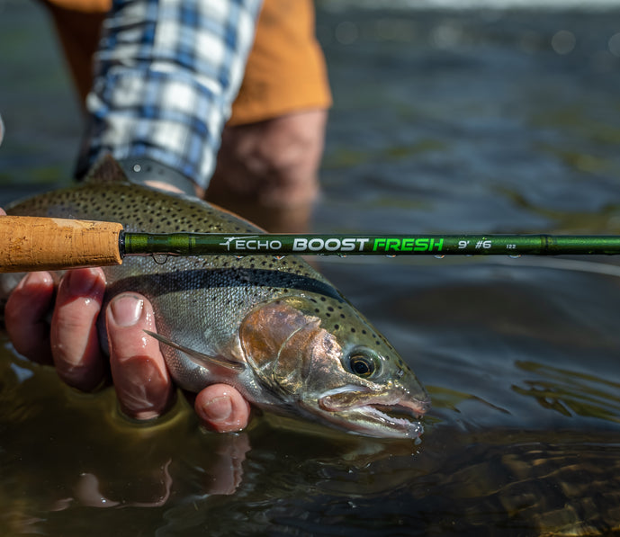 echo boost fresh rods