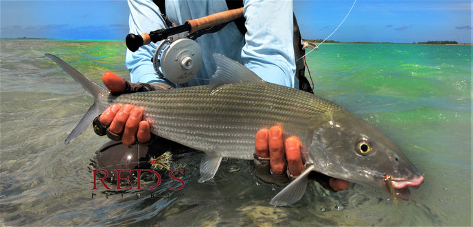 the 12 best bonefish flies