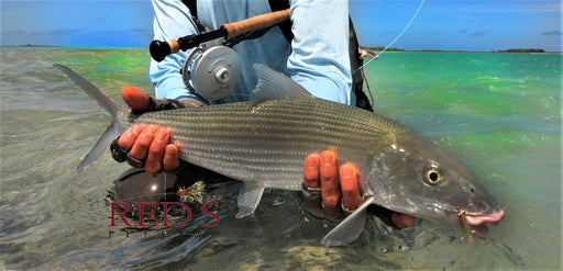 the 12 best bonefish flies