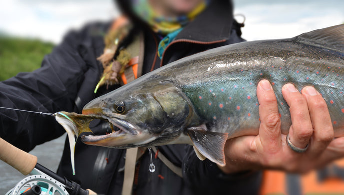 Top 12 Trout Streamers // Deadly Dozen Assortment
