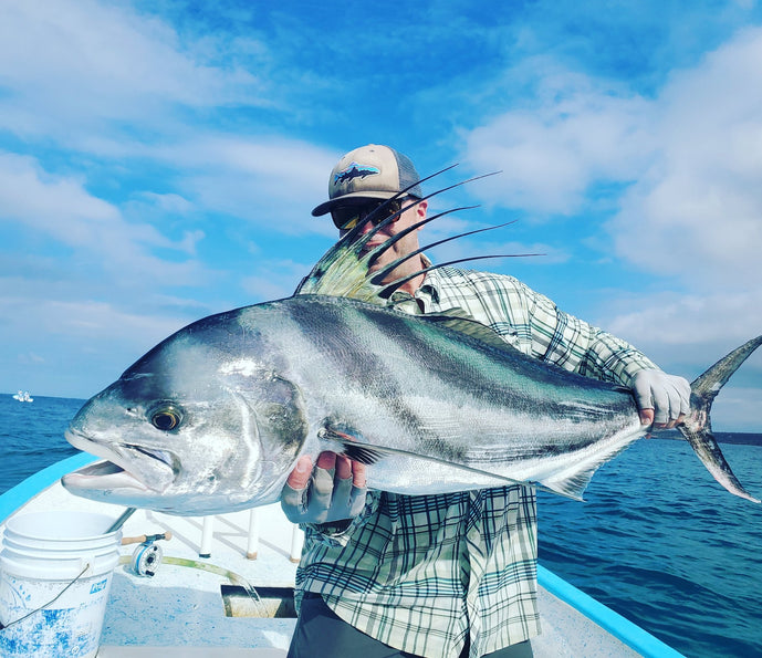 Top 12 Roosterfish & Dorado Flies // Deadly Dozen Assortment