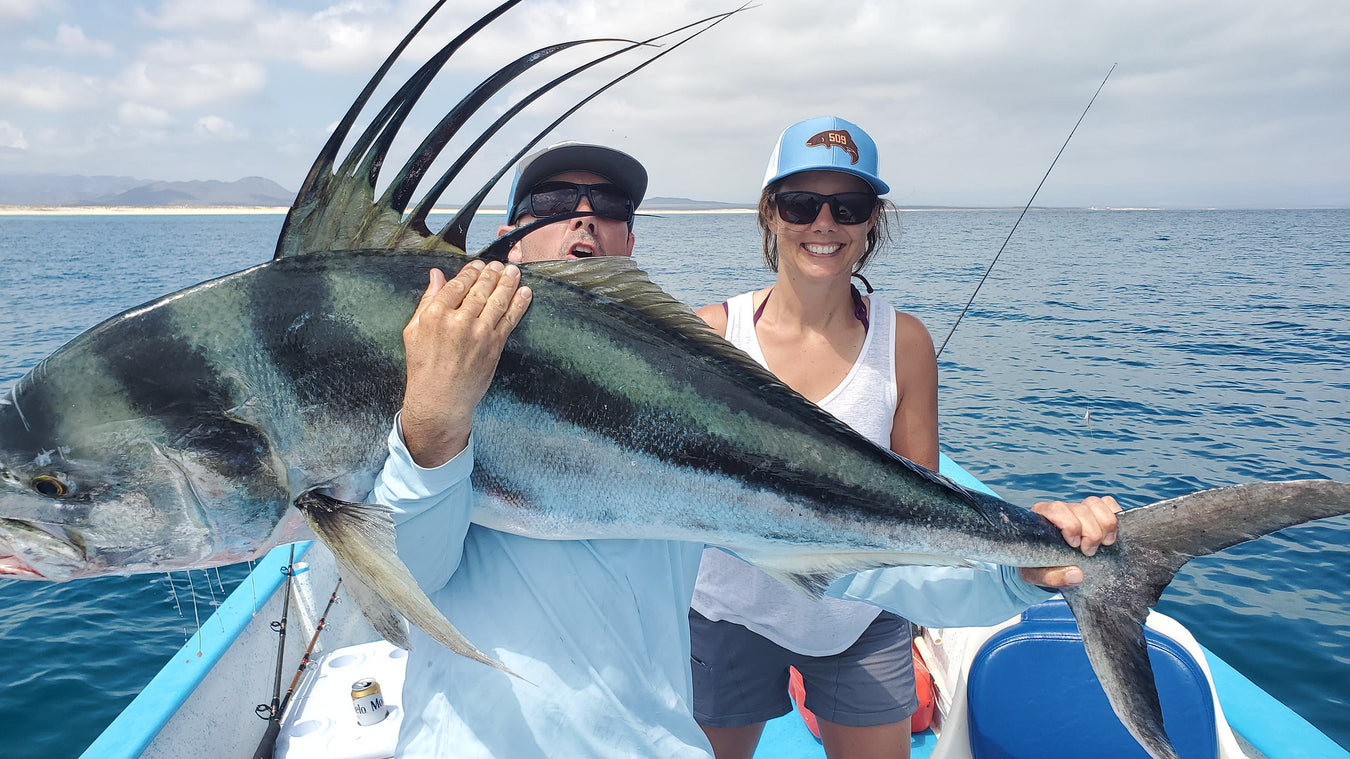BAJA ROOSTERFISH & DORADO // FLIES & TACKLE