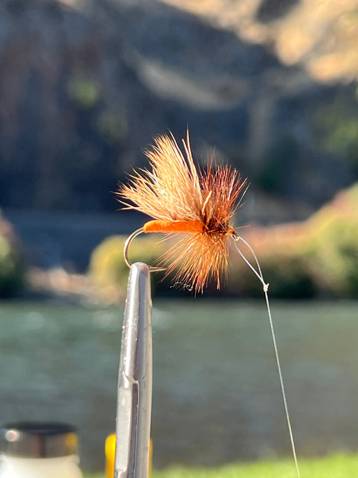 Hie-Tie October Caddis by Rainy's // EXCLUSIVE Red's Pattern