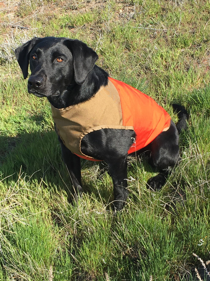 cuga dog vest
