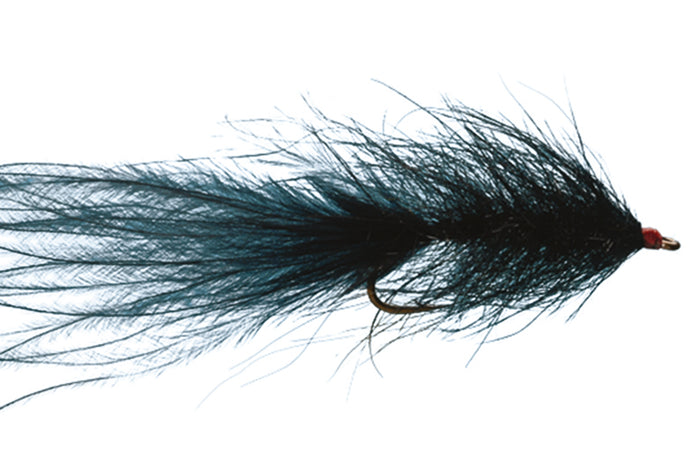 Hale Bopp Leech by Solitude