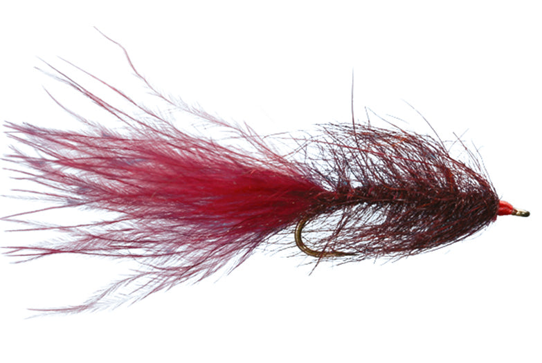 Hale Bopp Leech by Solitude