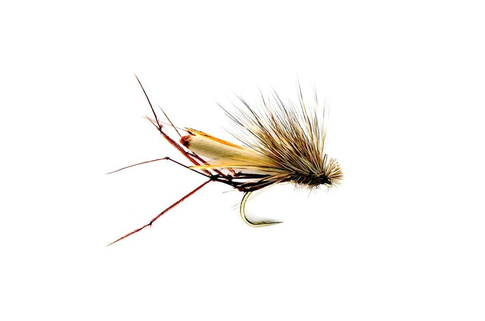 The DaddyHog Crane Fly by Fulling Mill // Crane Fly