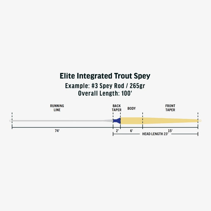 RIO Elite Integrated Trout Spey Line