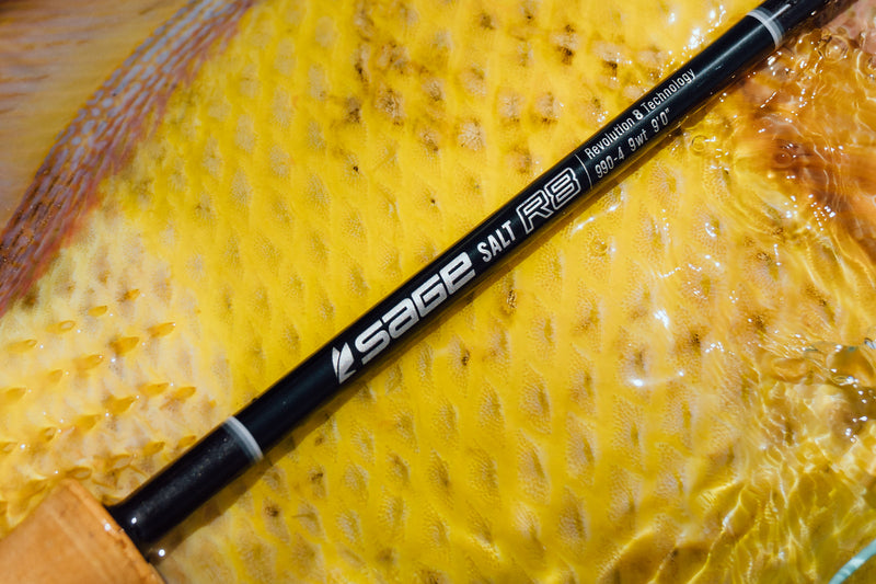 sage salt r8 9 weight rod