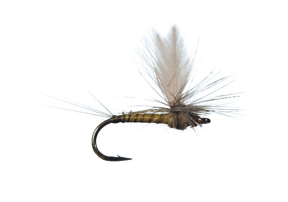 Winger Parachute BWO by Solitude — Red's Fly Shop