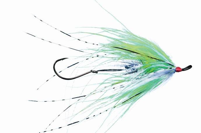 Hoh Bo Spey by Solitude // #1 Spey Fly for Steelhead