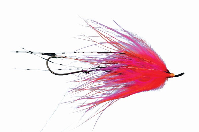 Hoh Bo Spey by Solitude // #1 Spey Fly for Steelhead