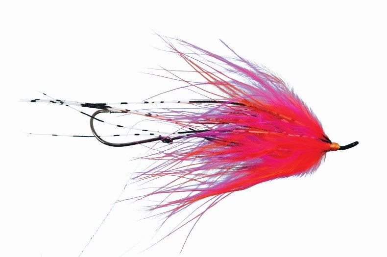 Hoh Bo Spey by Solitude // #1 Spey Fly for Steelhead