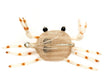 alphonse permit crab