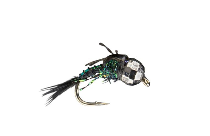 RIO's Heavy Snack Nymph // Tungsten Bead