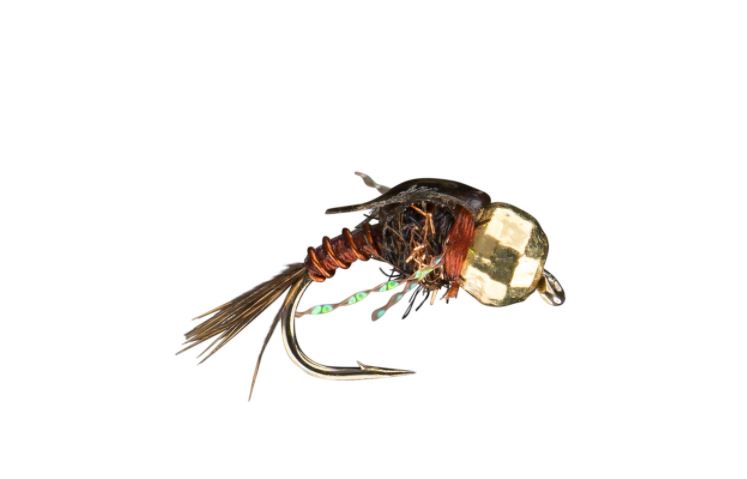 RIO's Heavy Snack Nymph // Tungsten Bead