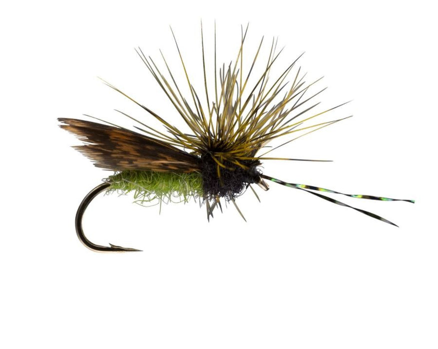 RIO's Hen Wing Caddis Dry Fly